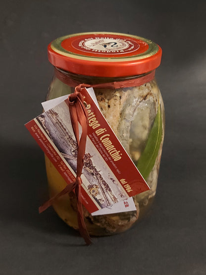 anguillacapitonecomacchio3